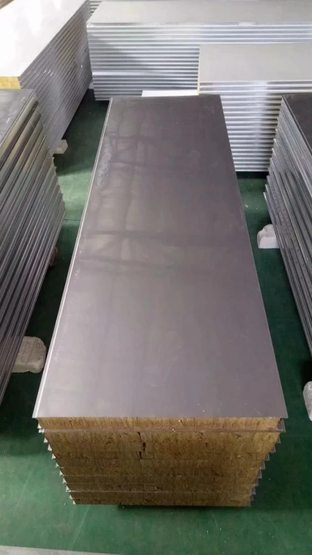 Rock Wool Cleanroom Panels